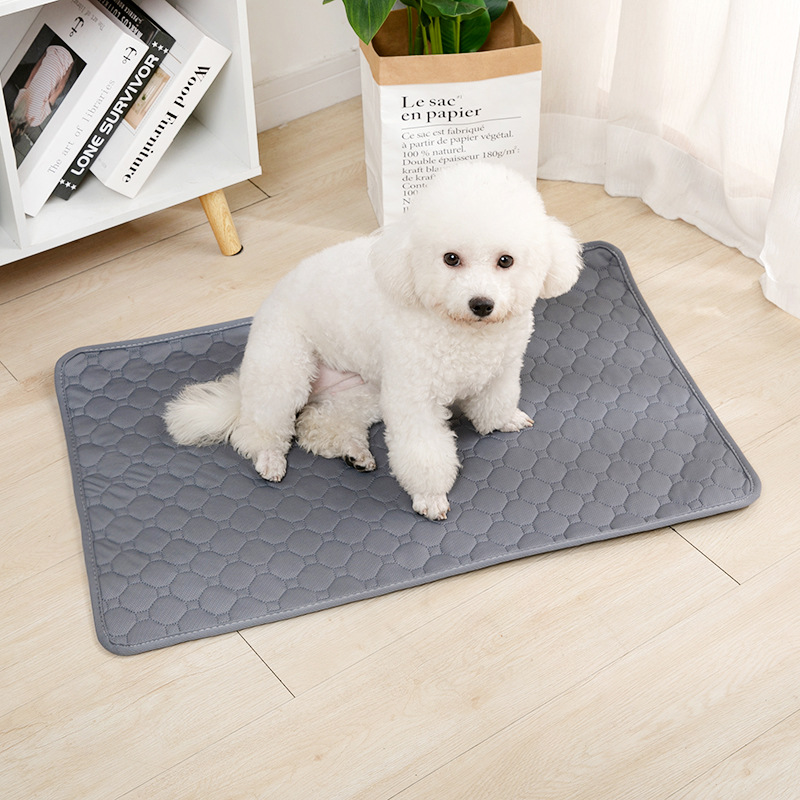 Herbruikbare Hondenplasmat Abs - Carriage Bed recensie en prijs